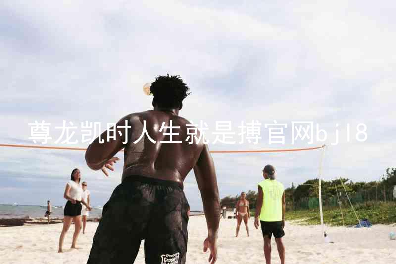 尊龙凯时人生就是搏官网bjl8