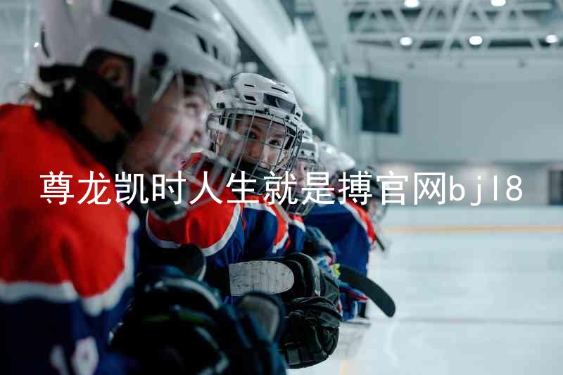尊龙凯时人生就是搏官网bjl8