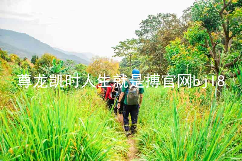 尊龙凯时人生就是搏官网bjl8