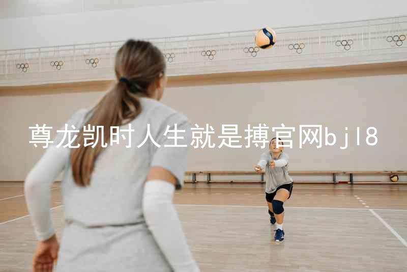 尊龙凯时人生就是搏官网bjl8