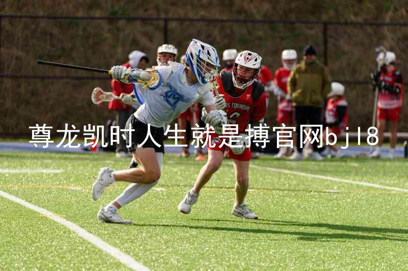 尊龙凯时人生就是搏官网bjl8