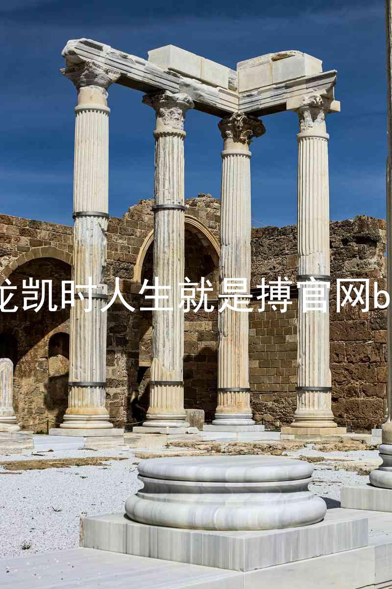 尊龙凯时人生就是搏官网bjl8